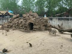 -西安秦岭野生动物园