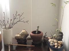 -狐尾山公园