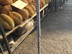 -大连双兴商品城