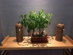 -天元坊(梁溪店)