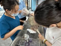 -贝康宠物医院·犬猫全科·小动物特色诊疗中心(东环路店)