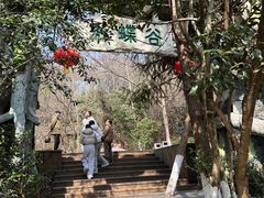 -天目湖山水园