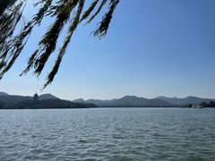 -柳莺湖上·湖景餐厅·江南菜(西湖店)