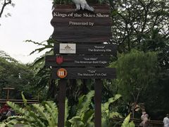 -新加坡飞禽公园