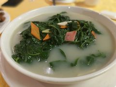 -鸽王世家(东华东路店)