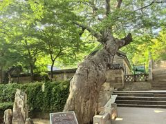-青岛崂山太清宫