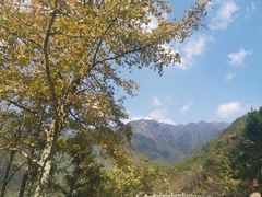 -遂昌金矿国家矿山公园