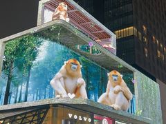 -春熙路步行街
