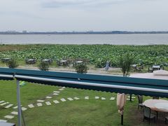 -七的湖·晚芳亭·阳澄湖农家菜·大闸蟹(莲花岛店)