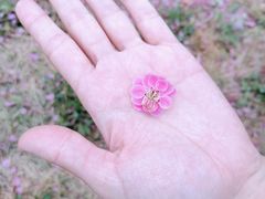 -济南国际园博园