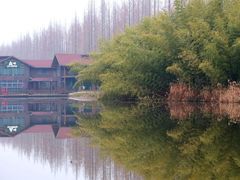 -黄海国家森林公园