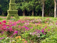 -东南花都花博园