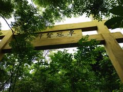 -南京老山国家森林公园