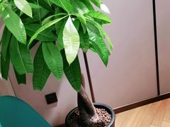 -宴昆山·私房菜(春晖店)