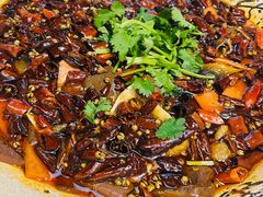 精品毛血旺-陈麻婆豆腐(旗舰店)