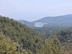 -罗坪山