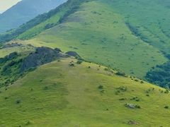 -大姆山草场