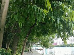 -南宁南湖公园