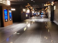 -金逸影城(宝安大仟里IMAX激光店)