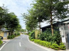 -台山颐和温泉城