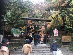 -野宫神社