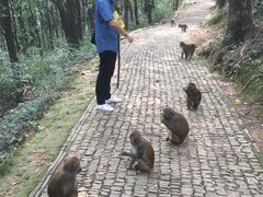-苏浙徽·农家大院(吴江中山南路店)