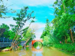 -上海长兴岛郊野公园