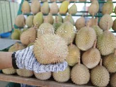-SS2 榴梿鲜生