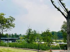 -佛手湖郊野公园