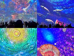 -海合安青岛极地海洋公园