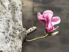 -东华门大街小区
