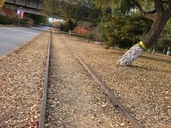 -永定河休闲森林公园