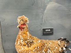 -昆明动物博物馆