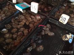 -开禾52阿伟海鲜加工