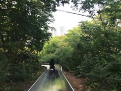 -富斯特索道