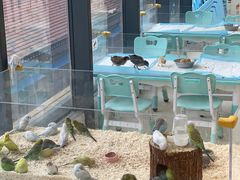 -怪兽屋·羊驼·猫咖·狗咖(俊华广场店)