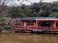-云溪植物园