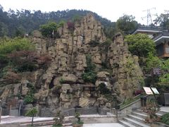 后山景色-老幺泉水鸡
