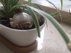 -新湖明珠城