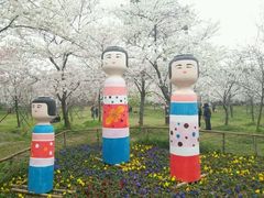 -东湖磨山景区樱花园-停车场