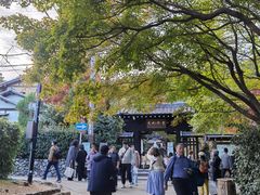 -常寂光寺