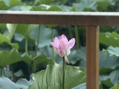 -重元寺