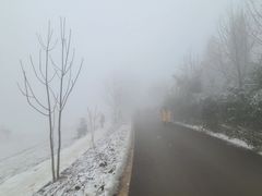 -武陵山森林公园
