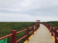 -北海金海湾红树林生态旅游区