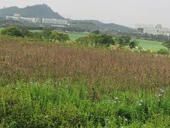 -光明小镇欢乐田园