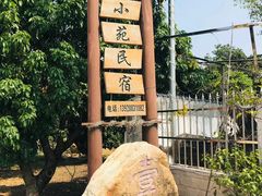 -天适樱花悠乐园