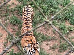 -西霞口神雕山野生动物世界