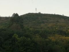 -长虫山生态公园风景林