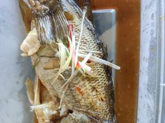鲈鱼-7+7私家饭堂(人民路店)