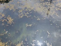 -太行锡崖沟旅游度假区